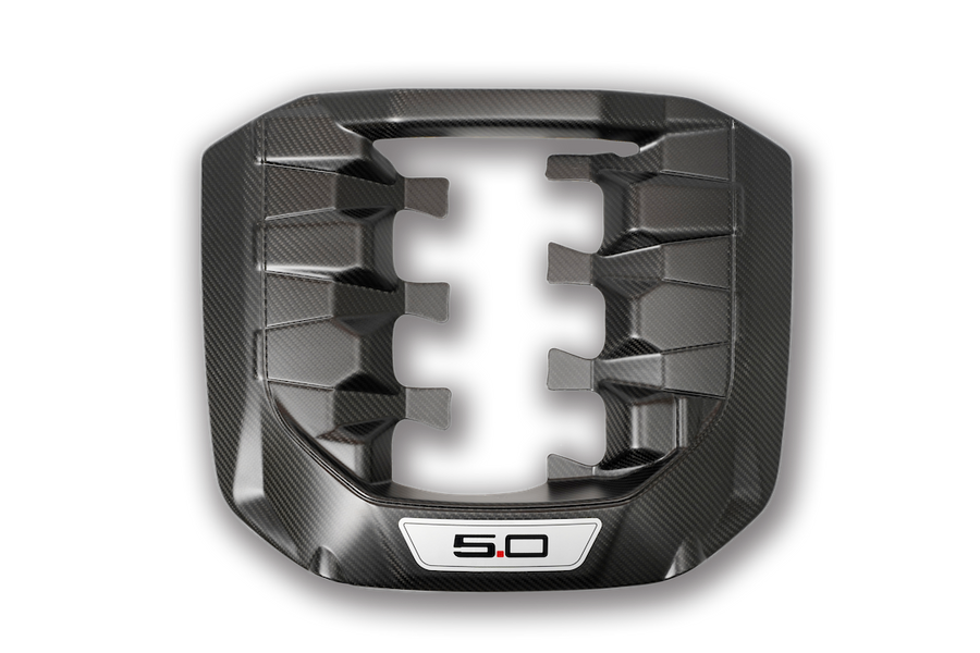 CARBON FIBER ENGINE COVER - Recon