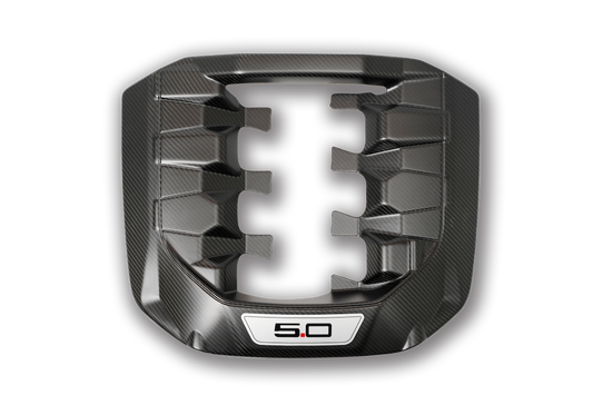 CARBON FIBER ENGINE COVER - Recon