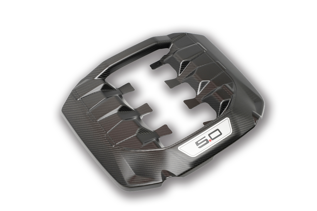 CARBON FIBER ENGINE COVER - Recon
